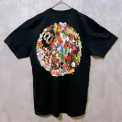 直営店購入》STUSSY ステューシー PLUSH TEE 8ボール Tシャツ