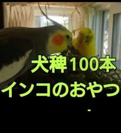 Item thumbnail for item d07355ef-531a-4963-96ab-81221538c3fc