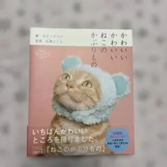 2025年最新】猫のかぶりもの本の人気アイテム - メルカリ