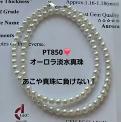 2440 PT850❣️オーロラ❣️無傷❣️淡水ベビーパール ネックレス 鑑別 