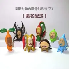こびとづかん おすわりマスコット5 シークレット 含 全７種 コンプセット