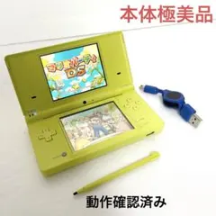 【極美品】Nintendo DS i 本体 ライムグリーン③USBアダプター付き