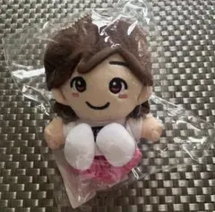 なにわ男子 道枝駿佑 ちびぬい