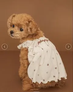 ジェラートピケ 【CAT&DOG】ハート柄フリルワンピースMサイズ