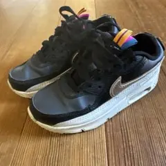 Nike Air Max スニーカー ブラック/シルバー