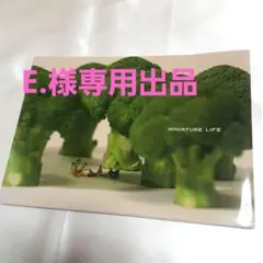 MINIATURE LIFE　田中達也