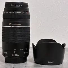 ⭐️美品⭐️キャノン Canon EF 90-300mm F4-5.6 望遠レンズ - メルカリ