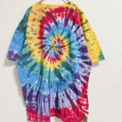 フルーツオブザルーム タイダイ Ｔシャツ 丸首 レインボー 綿 夏フェス【L】のサムネイル
