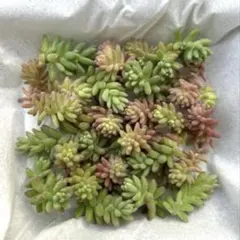 しのママ様 リクエスト 2点 まとめ商品