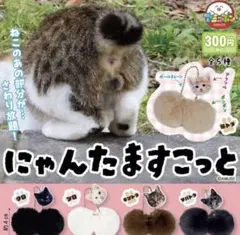にゃんたますこっと　全5種コンプセット