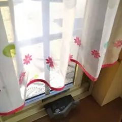 Item thumbnail for item 615bd089-8275-4bd9-8fcb-0340c4f68d33