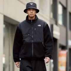 【m171】90s THE NORTH FACE デナリジャケット ポーラテック