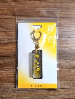 東京ミュウミュウ 藤原ざくろ ピンズ 当時物 希少 未開封 - メルカリ