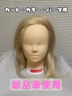 練習用カットマネキン ip100G