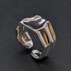 Item thumbnail for item c9878fd0-021f-4b3d-82bb-2c52fb5986b5