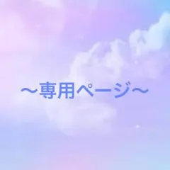【専用ページ】アデプト@即購入OKですよ！様