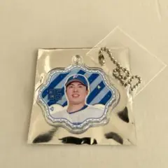 日ハム　田中正義