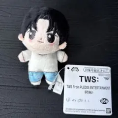 TWS From PLEDIS ENTERTAINMENT　ほわぬい　ヨンジェ