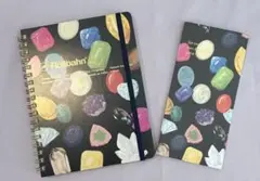 Item thumbnail for item b94816bc-e04a-45e1-8285-8ece019a00f8