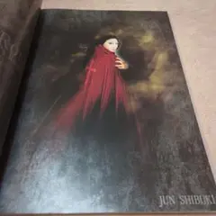 宝塚歌劇　月組　公演プログラム