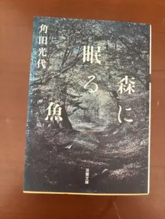 森に眠る魚　　角田光代