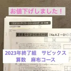 2026年最新】サピックス志望校錬成の人気アイテム - メルカリ