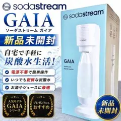 2026年最新】GAIA ソーダストリームの人気アイテム - メルカリ