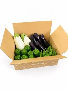 【群馬県産】お野菜詰め合わせのサムネイル