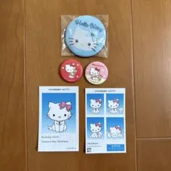 ハローキティ チャーミーキティ ピンバッジ 刺繍缶バッジ 証明写真 シークレット