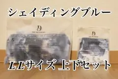新品　ノンワイヤーブラ【Nongy（ノンジー）】シェイディングブルー　上下　LL