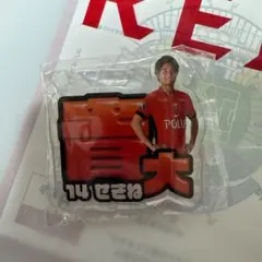 関根貴大