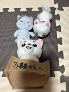 銀魂 定春 ぬいぐるみ マスコット セット