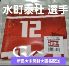 水町泰杜 スポーツ選手