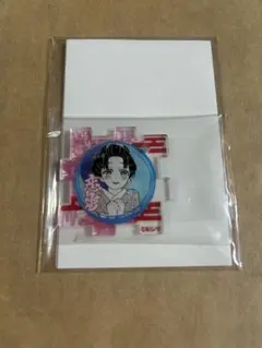 鬼滅の刃 アクリルパズル 恋雪