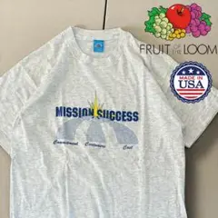 【USA製】フルーツオブザルーム90s 青タグ企業系メッセージTシャツ　シングル