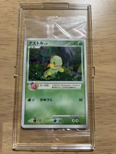 ポケカ プレイヤーズ ナエトル ヒコザル ポッチャDP プロモ - メルカリ