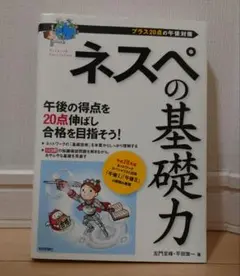 ネスペの基礎力 プラス20点の午後対策
