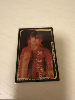 長谷川慎　トレカ　BOT