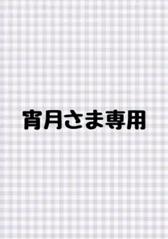 【宵月さま専用】たぬき着ぐるみ