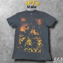 海外古着APT.9 グッドプリントTシャツ　実寸M相当　アメカジ　グッドフェード