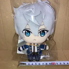 あんさんぶるスターズ 瀬名泉 新衣装 ぬいぐるみ　あんスタ