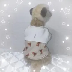 Item thumbnail for item 55baab81-bfd6-4ffc-83b4-7c827cebeeb0