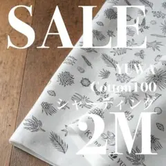 【SALE】yak02◆2M◆YUWA×河野愛さん◆綿100シャーティング◆