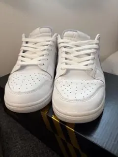 Nike Dunk Low Retro White/Pure Platinum