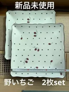 リチャードジノリ イタリアンポア 野イチゴ 5枚セット リチャードジノリ イタリアンポア 野イチゴ 5枚セット リチャード