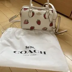 2025年最新】coach いちご バッグの人気アイテム - メルカリ