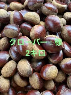 オリーブ様　生栗　2キロ オリーブ様 生栗 2キロ - メルカリ
