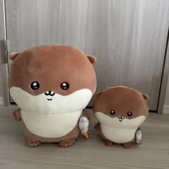 ナガノのカワウソ ぬいぐるみくじ　Ｂ賞　Ｃ賞