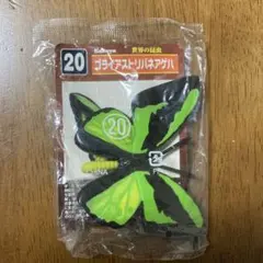 2025年最新】ゴライアストリバネアゲハの人気アイテム - メルカリ