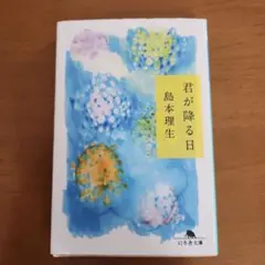 島本理生 君が降る日 幻冬舎文庫